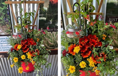 2 views of the 2023 Summer Container Recipe that SummerWinds Nursery Phoenix created.