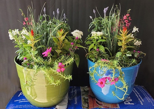 2 Summer Flower & Plant Containers designed by SummerWinds Nursery's Mesa store 2023.