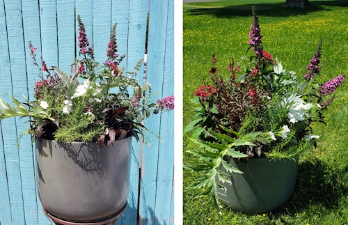 2 views of the Glendale store's 2023 Summer Container Recipe.