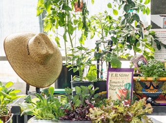 A garden hat, vegetables, planters, EB Stone Organics Tomato & Vegetable Food fertilizer.