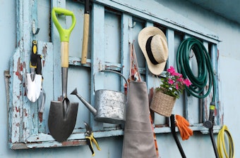 A variety of gardening tools hanging and organized on a blue wall and rack.