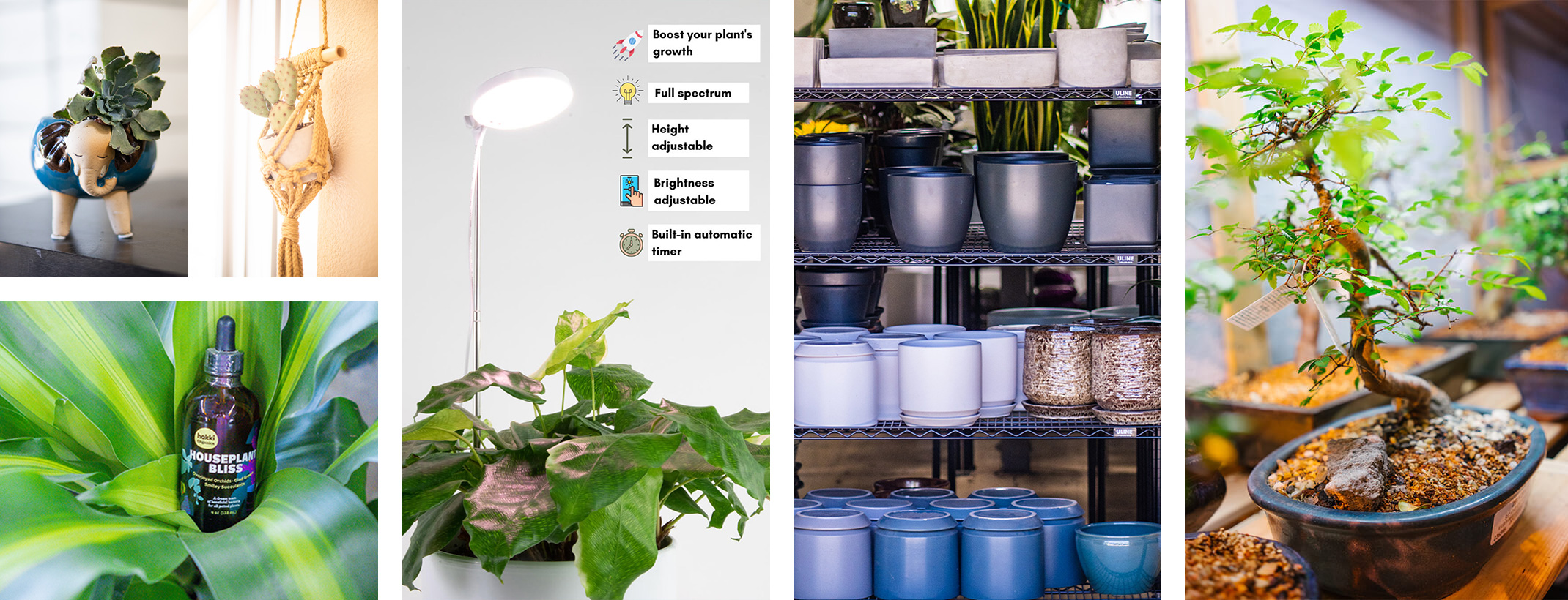 A variety of houseplant accessories available at your local SummerWinds Nursery including pots, beneficial bacteria, grow lights and hangers.