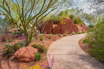 Beautiful Desert Landscape with paved trail.