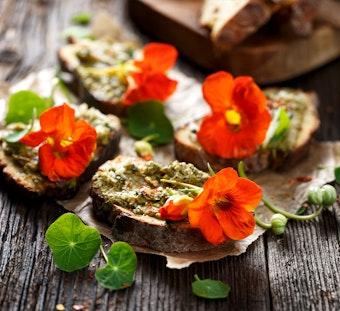 Pesto Canapes with Naturtium flowers.