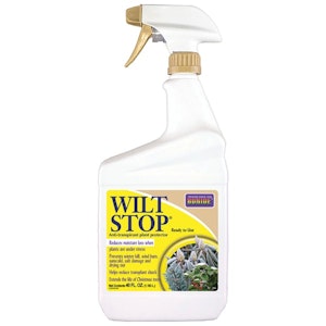 A container of Bonide Wilt Stop Ready to Use spray.