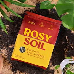 A bag of Rosy Soil - Cactus & Succulent Mix on a table with dirt and plants.