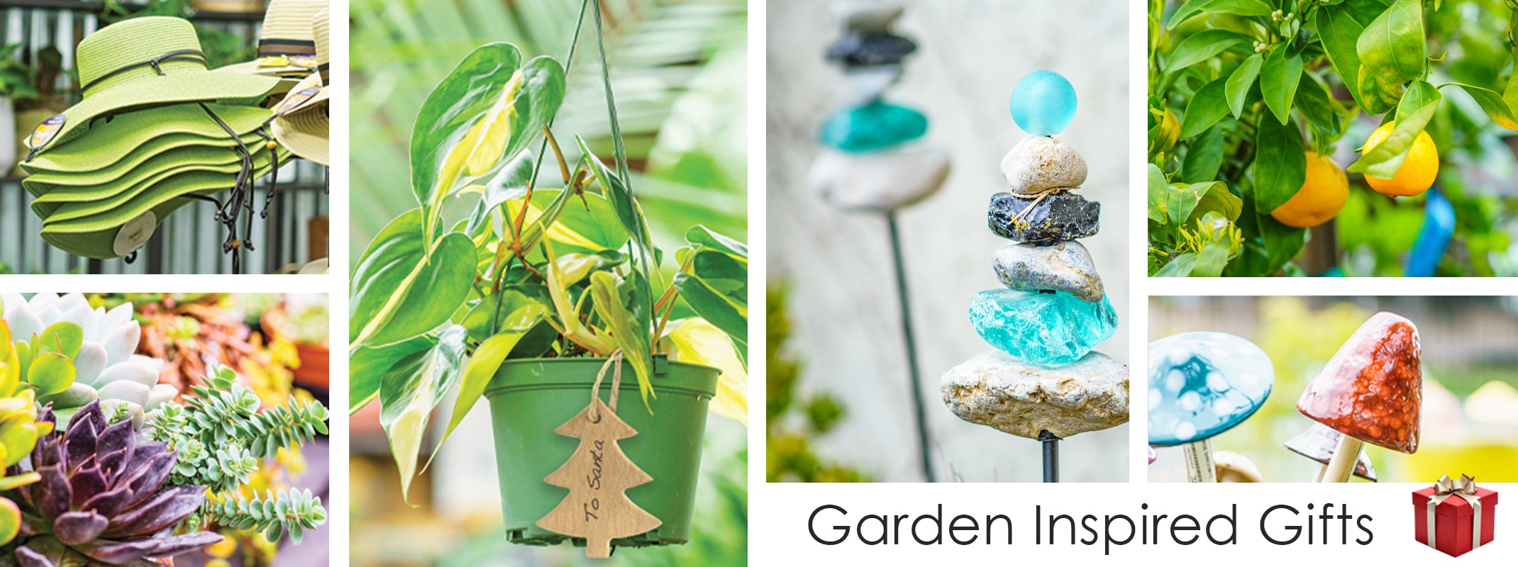 garden inspired gifts featuring garden hats, succulents, houseplants, garden decor and citrus