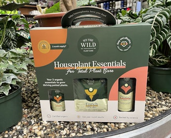 we the wild houseplant essentials for total plant care kit surrounded by houseplants