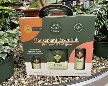 we the wild houseplant essentials for total plant care kit we the wild houseplant essentials for total plant care kit surrounded by houseplants