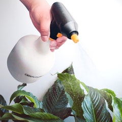 spraying houseplants with centurion battery operated spray bottle