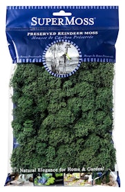 Super moss preserved reindeer moss forest green 2 oz.