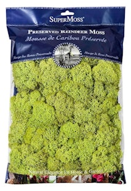 Super moss preserved reindeer moss bright green or chartreuse 8 oz.
