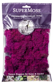 Super moss preserved reindeer moss fuchsia 2 oz.