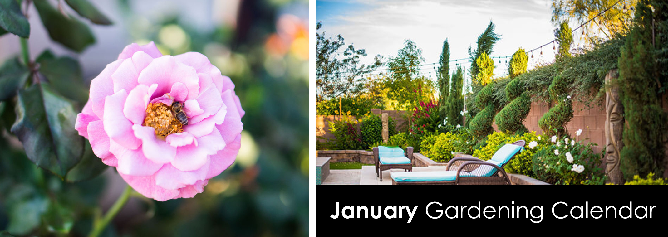 January Gardening Calendar banner