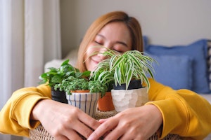 woman with her arms around her houseplants