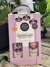 we the wilds orchid care essential kit with orchids and ferns in the background