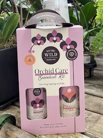 we the wilds orchid care essential kit we the wilds orchid care essential kit with orchids and ferns in the background