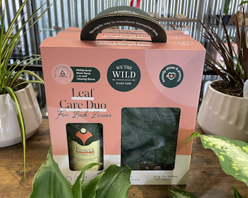 we the wild leaf care duo for lush leaves we the wild leaf care duo for lush leaves kit surrounded by healthy houseplants