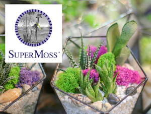 super moss terrariums and supermoss logo