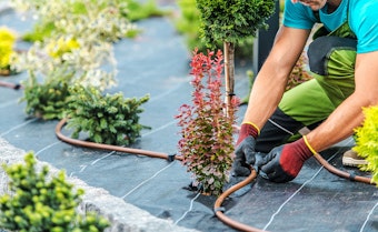 A person setting up a drip irrigation system among a variety of shrubs and trees.