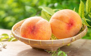 garden golden peach two peaches in bamboo bowl on wooden bowl