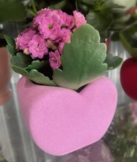 pink kalanchoe in pink heart planter valentines day