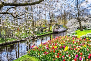 Keukenhof Gardens, Lisse, Netherlands