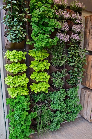 vertical garden