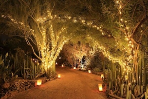 Garden Lights