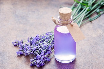 lavender simple syrup in vial summerwinds arizona