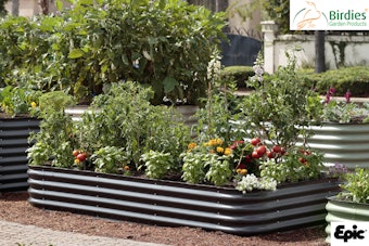 A slate grey short Birdie metal raised garden bed planted in the garden.