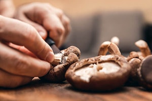 person slicing shiitake mushrooms summerwinds arizona