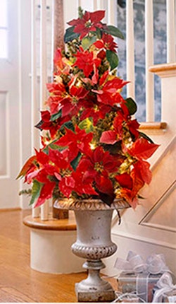 Poinsettia Trees