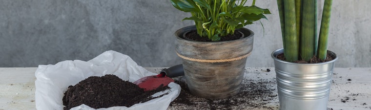 Potted Plants Next To Shovel