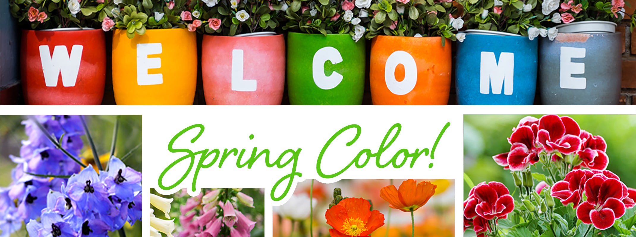 welcome spring color banner potted plants with the letters welcome on them, poppies, geraniums, foxglove and larkspur