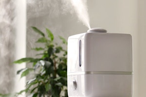 humidifier for houseplants summerwinds arizona