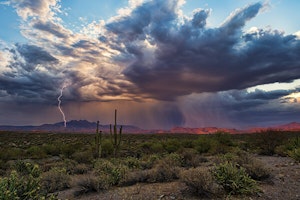 Get your garden ready for monsoon season