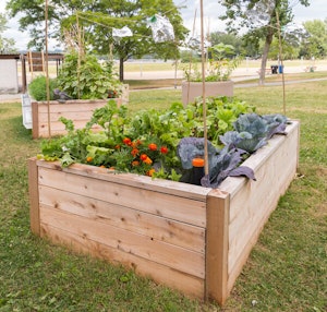 Raised Bed Square Foot Gardening