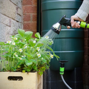 A rainwater harvesting barrel and connected hand sprayer watering flowers.