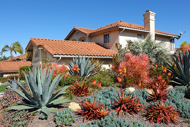 cactus home garden summerwinds arizona