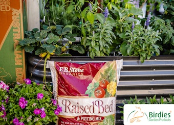 A Birdie Raised Garden Bed with plants and a bag of E.B. Stone Organics Raised Bed & Potting Mix.