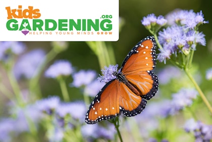 kidsgardening.org logo on an image of a butterfly on purple blooms.
