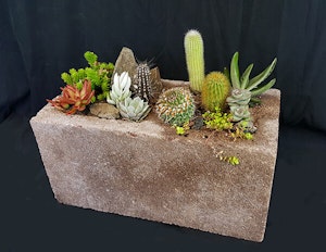 Cinder block planter