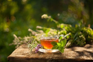 herbal tea garden summerwinds arizona