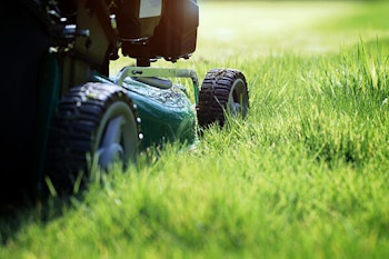cutting lawn with lawnmower while keeping grass longer summerwinds arizona
