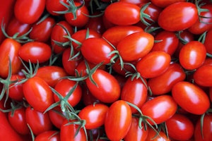 Roma Tomatoes