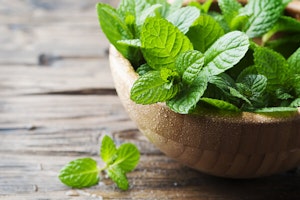 Mint