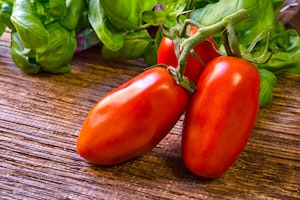 san marzano tomatoes summerwinds arizona