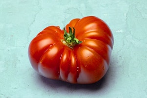 brandywine tomato summerwinds arizona
