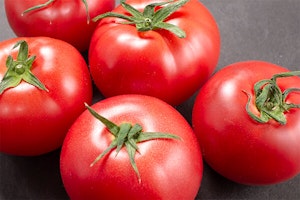 early girl tomatoes summerwinds arizona